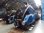 NRM 4468d Mallard