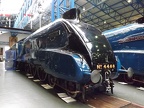 NRM 4468e Mallard