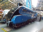 NRM 4468f Mallard