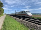 DB 401061 bHofwr