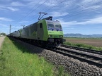 BLS Re485013 bHof