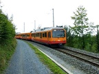 SZU Be025b Uit-Wald