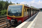 DB 481201 Wuhl