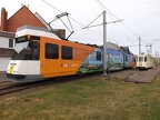 deLijn 6038 Knokke
