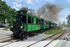 ChB D 1l Stock
