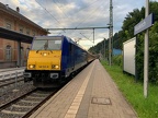 AKIEM E 146522 Wald