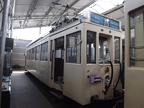 ASVi ET 10284 Mus