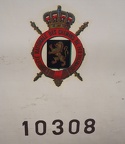 ASVi ET 10308s