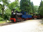 SchBB D Sequoia_g