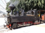 SchBB D Taxus_b