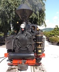 SchBB D Taxus