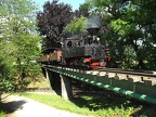 SchBB D Taxus_l