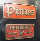 SchBB D Pinus_c