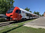 OT VT C11 FLIRT3 Rhorn