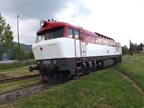 CD V T478-1001 Vrut
