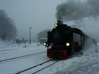 SDG 99 1794 Owi