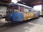 SEM VT PEG-T1