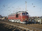 DB-Mus V120274 ARN