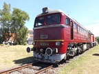 DB-Mus V120274h Mus-KO