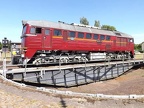 DB-Mus V120274j Mus-KO