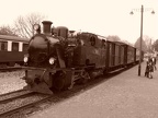 IHS 101 Bt Schier