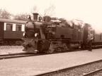 IHS 101b Bt Schier