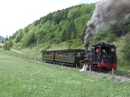 NOSBB 999-05b bHengst