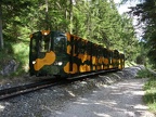 NOSBB Wg B-sz2 bHengst