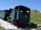 SKGB D Z04 Schaf