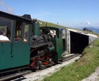 SKGB D Z04b Schaf