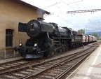 VVT D 52-221h Fleur