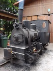 G22-Ticino b