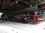 Mus-TUT D 42-226b
