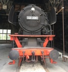 Mus-TUT D 42-226