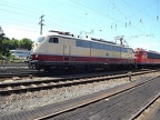 DB-Mus E03-001g Mus-KO