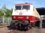 DB-Mus 120004b Mus-KO