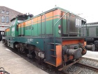 DB-Mus E RBH-001b KO