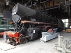Mus-TUT D 43-121 b