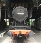 Mus-TUT D 50-2838