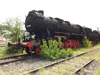 Mus-TUT D 52-8139