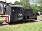 Mus-TUT V 310798
