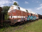 Mus-TUT V 228617