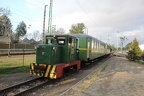 MAV V C50-5733 Bfen-GV