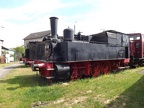 MusDA 89-339 c