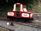 GGR E Polar Bear_b LhenC