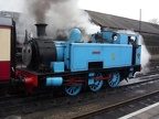 NVR 1 THOMAS Wans