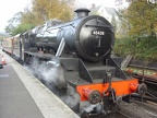 NYMR 45428 Grosmt