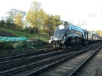 SNGLT 60007f Grosmt