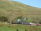 WHR NGG16-143d bRhyd