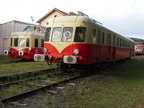 CFHF VT X2425b Est
